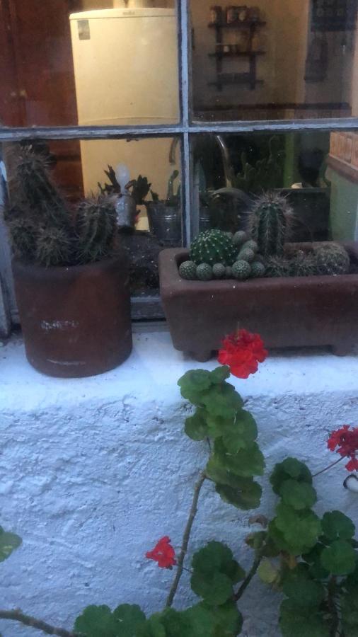Home Stay Maria Hidalgo del Parral Kültér fotó